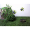 Poulie damper PEUGEOT 307 PHASE 1 d’occasion