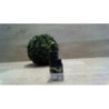 Capteur RENAULT CLIO 4 PHASE 2 d’occasion