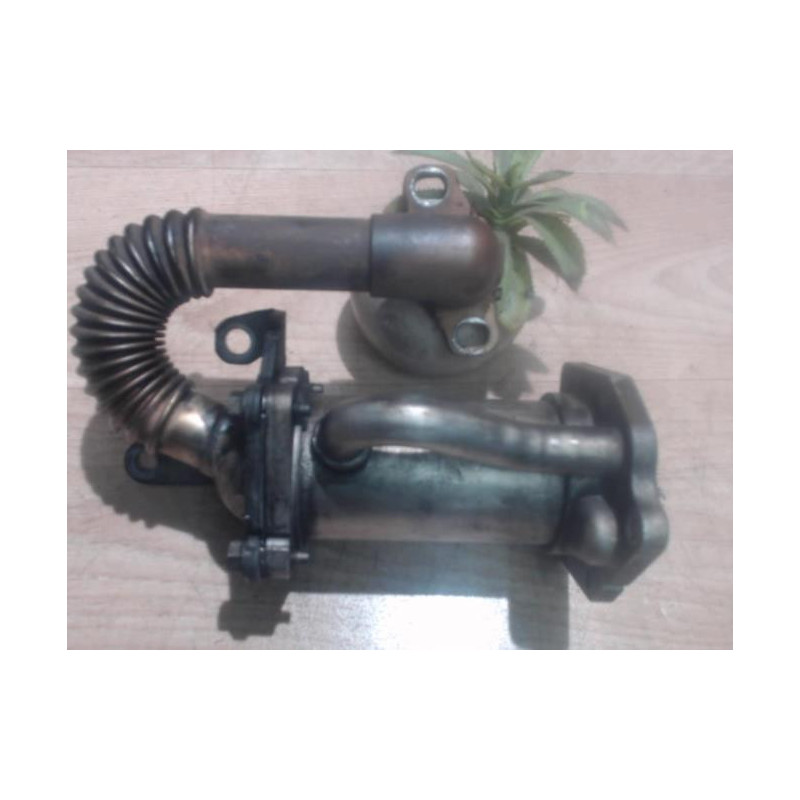 Radiateur EGR RENAULT KANGOO 1 PHASE 2 d’occasion
