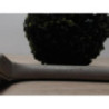 Poignee de maintien ROVER 75 PHASE 1 d’occasion