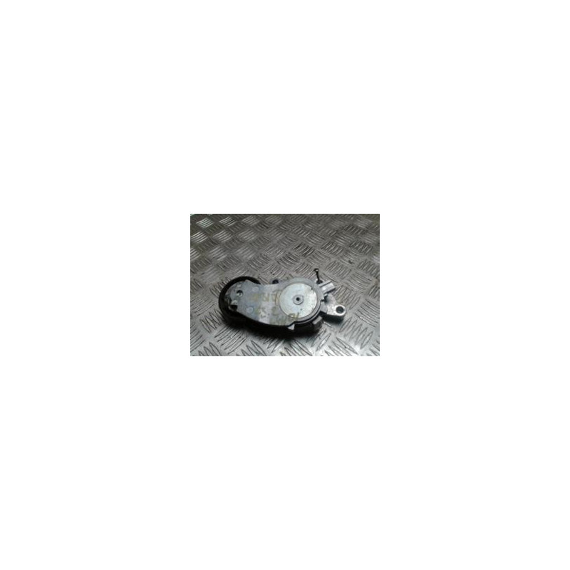 Galet tendeur CITROEN C3 2 PHASE 1 d’occasion
