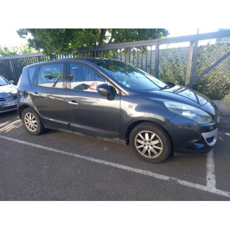 Tirant de porte arriere gauche RENAULT SCENIC 3 PHASE 1 d’occasion