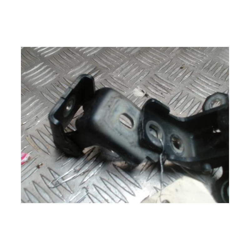 Charniere de porte arriere gauche RENAULT SCENIC 3 PHASE 1 d’occasion