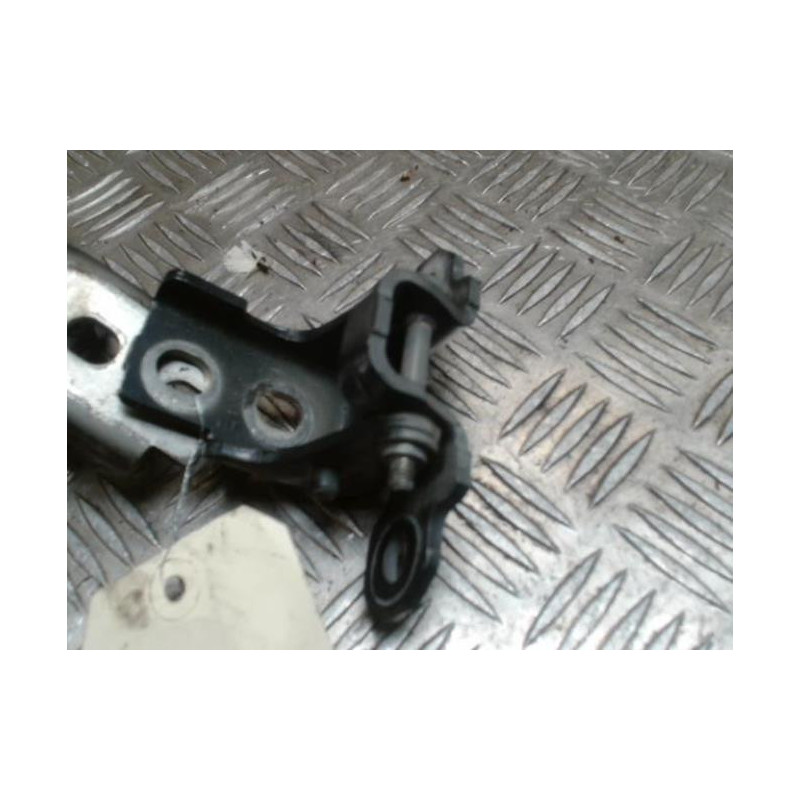 Charniere de porte arriere gauche RENAULT SCENIC 3 PHASE 1 d’occasion