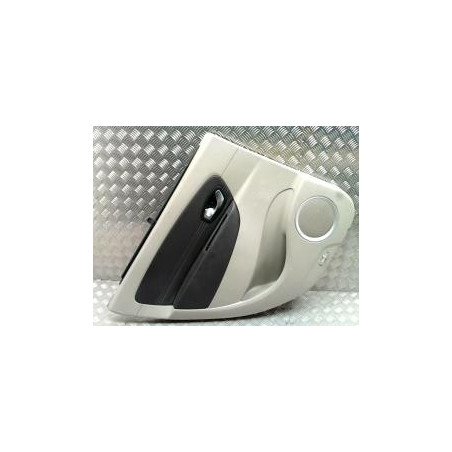 Panneau de porte arriere gauche RENAULT SCENIC 3 PHASE 1 d’occasion