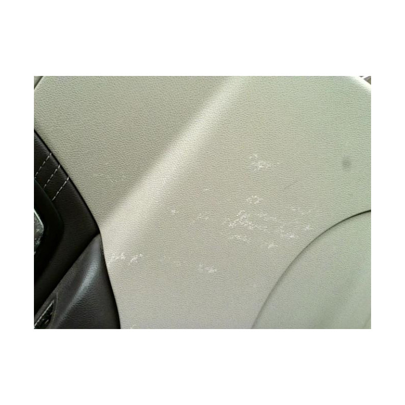 Panneau de porte arriere gauche RENAULT SCENIC 3 PHASE 1 d’occasion