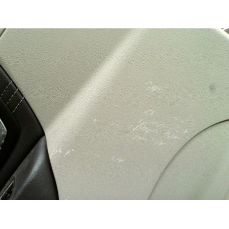 Panneau de porte arriere gauche RENAULT SCENIC 3 PHASE 1 d’occasion