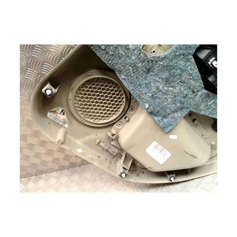 Panneau de porte arriere gauche RENAULT SCENIC 3 PHASE 1 d’occasion