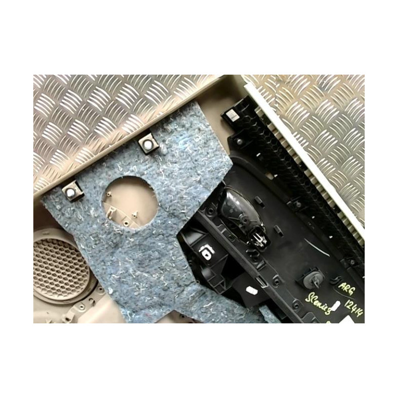 Panneau de porte arriere gauche RENAULT SCENIC 3 PHASE 1 d’occasion