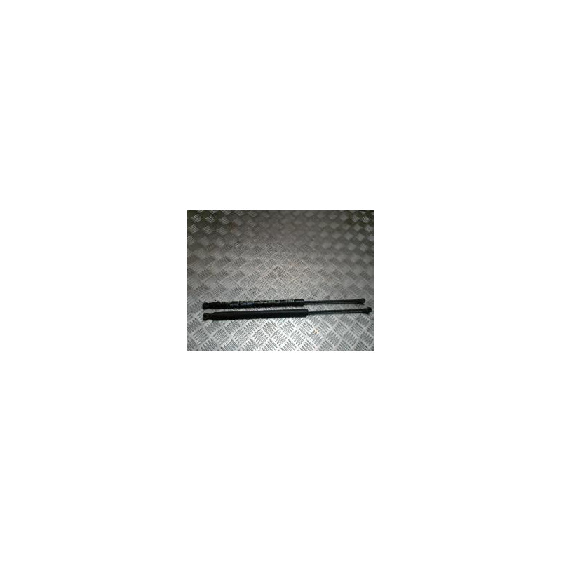 Verin de coffre RENAULT SCENIC 3 PHASE 1 d’occasion