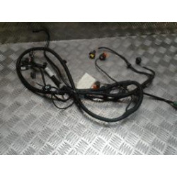 Faisceau (allumage) RENAULT GRAND SCENIC 3 PHASE 2 d’occasion
