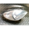 Optique avant principal droit (feux)(phare) CITROEN XSARA PICASSO PHASE 1 d’occasion