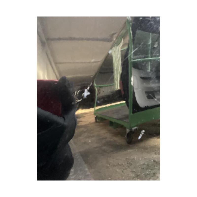 Porte arriere droit SEAT IBIZA 4 ST PHASE 1 BREAK d’occasion