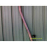 Ligne complete d'echappement PEUGEOT 406 PHASE 1 d’occasion