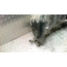 Pare boue arriere droit SEAT IBIZA 4 PHASE 2 d’occasion