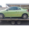 Calandre PEUGEOT 206 PHASE 2 CABRIOLET d’occasion