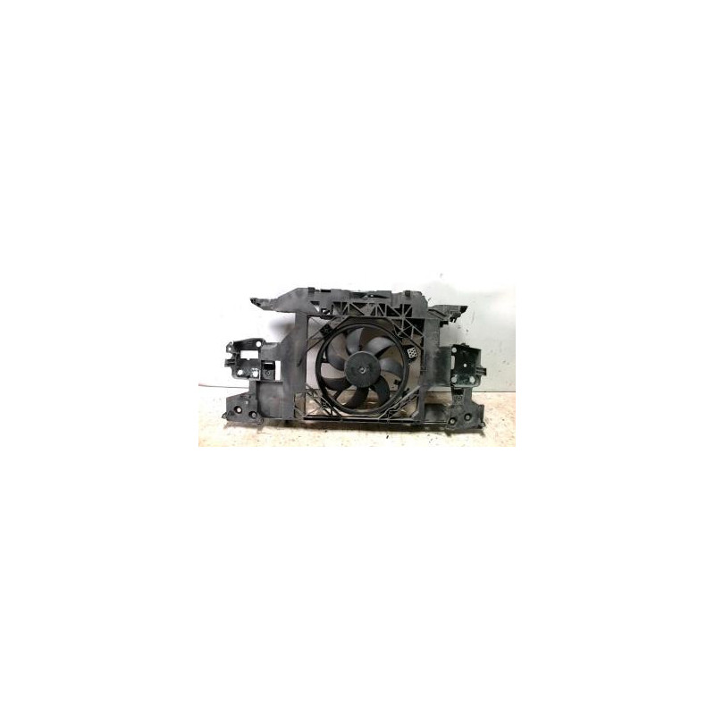 Armature avant, Masque avant RENAULT SCENIC 3 PHASE 1 d’occasion