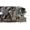 Armature avant, Masque avant RENAULT SCENIC 3 PHASE 1 d’occasion