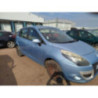 Armature avant, Masque avant RENAULT SCENIC 3 PHASE 1 d’occasion