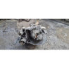 Boite de vitesses RENAULT CLIO 1 PHASE 3 d’occasion