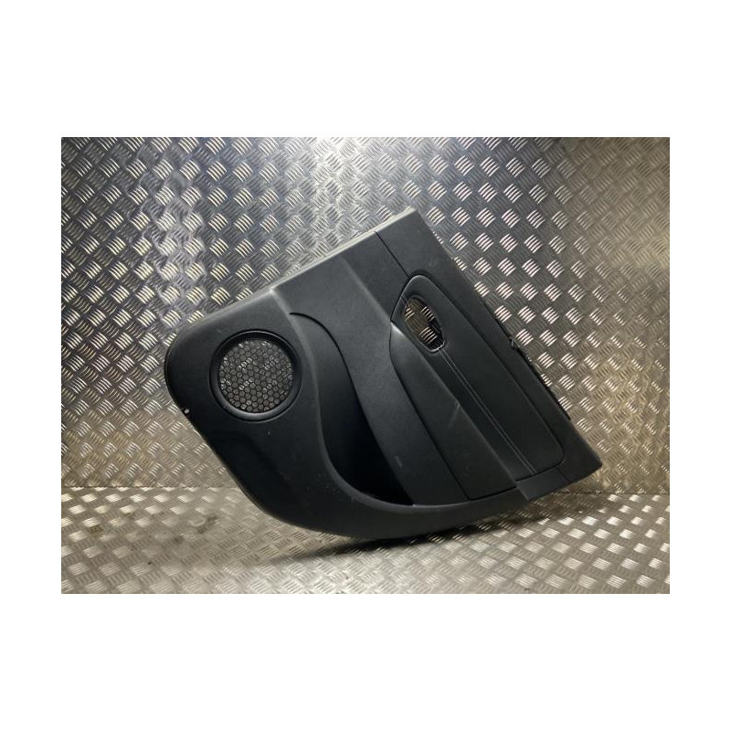 Panneau de porte arriere droit RENAULT SCENIC 3 PHASE 3 d’occasion
