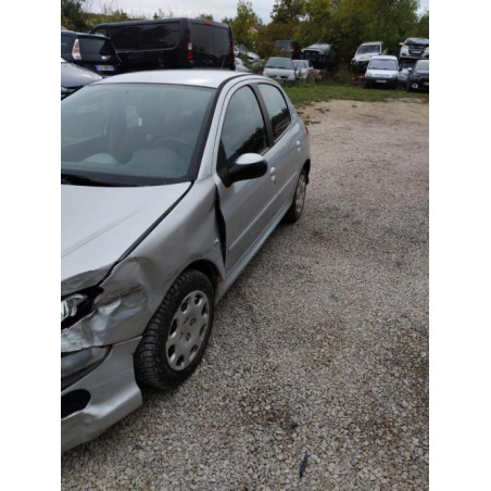Porte arriere gauche PEUGEOT 206 PHASE 2 d’occasion