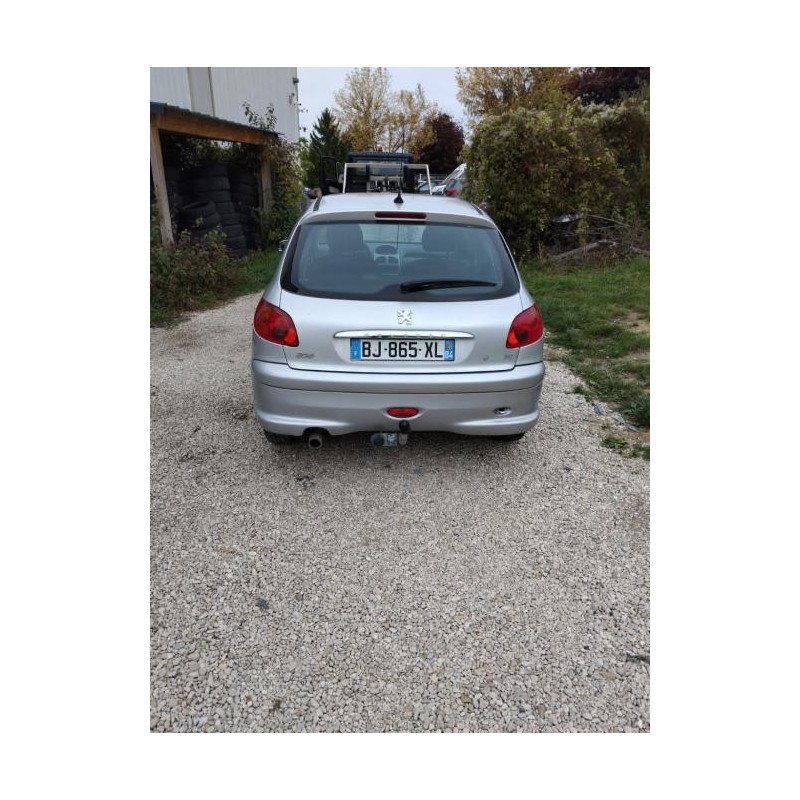 Porte arriere gauche PEUGEOT 206 PHASE 2 d’occasion