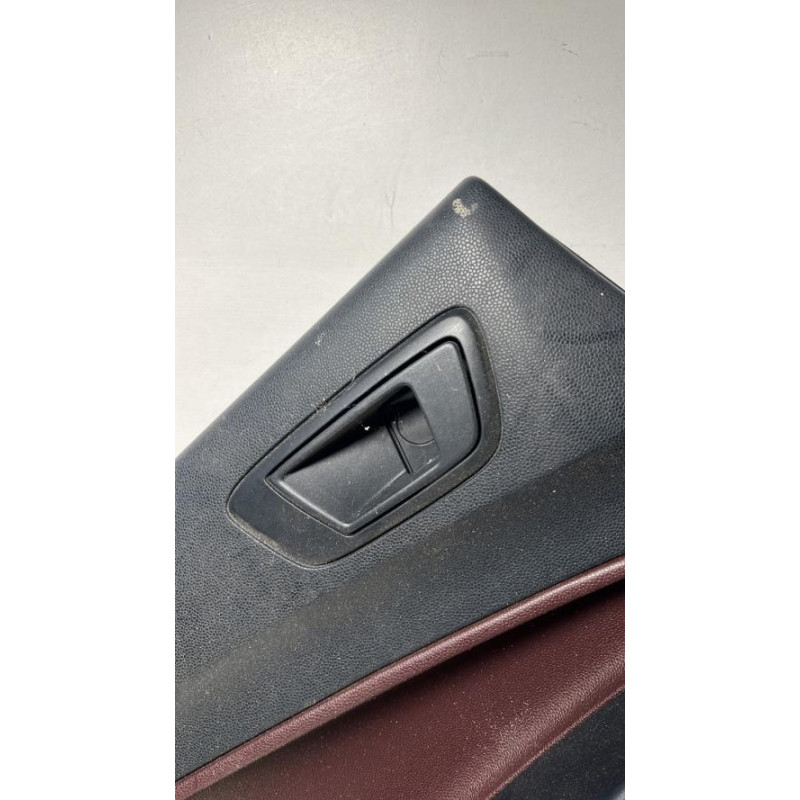 Panneau de porte arriere gauche FORD FIESTA 6 PHASE 1 d’occasion