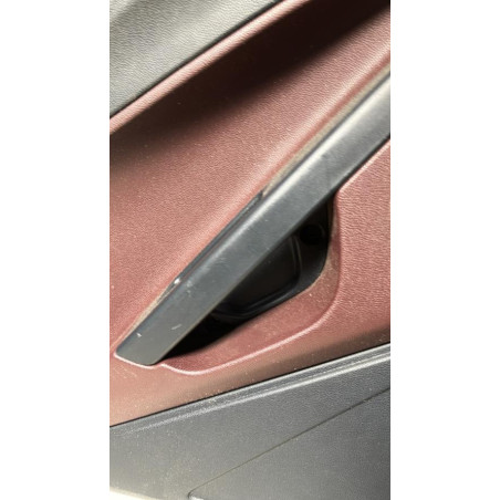 Panneau de porte arriere gauche FORD FIESTA 6 PHASE 1 d’occasion