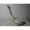 Vase de lave glace RENAULT KANGOO 2 PHASE 1 d’occasion
