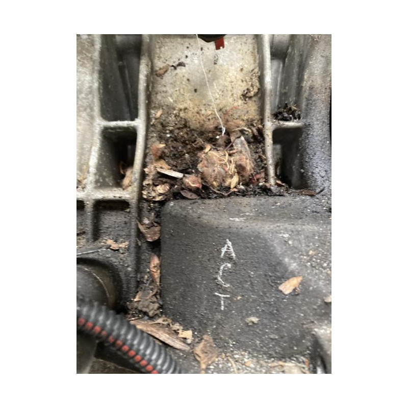 Moteur CITROEN BX d’occasion