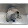 Pare boue arriere droit RENAULT CLIO 3 PHASE 1 d’occasion