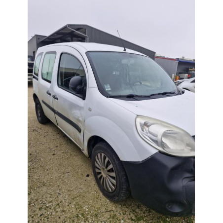 Porte de coffre droit RENAULT KANGOO 2 PHASE 2 d’occasion