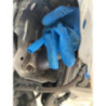Moteur CITROEN BERLINGO 3 M PHASE 1 d’occasion