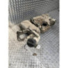 Reservoir CITROEN BERLINGO 3 M PHASE 1 d’occasion