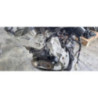 Moteur RENAULT CLIO 3 PHASE 1 d’occasion