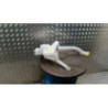Vase de lave glace RENAULT CAPTUR 1 PHASE 2 d’occasion