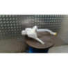 Vase de lave glace RENAULT CAPTUR 1 PHASE 2 d’occasion