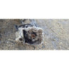 Boite de vitesses RENAULT CLIO 3 PHASE 2 d’occasion