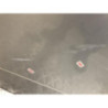 Porte avant gauche RENAULT SCENIC 3 PHASE 1 d’occasion