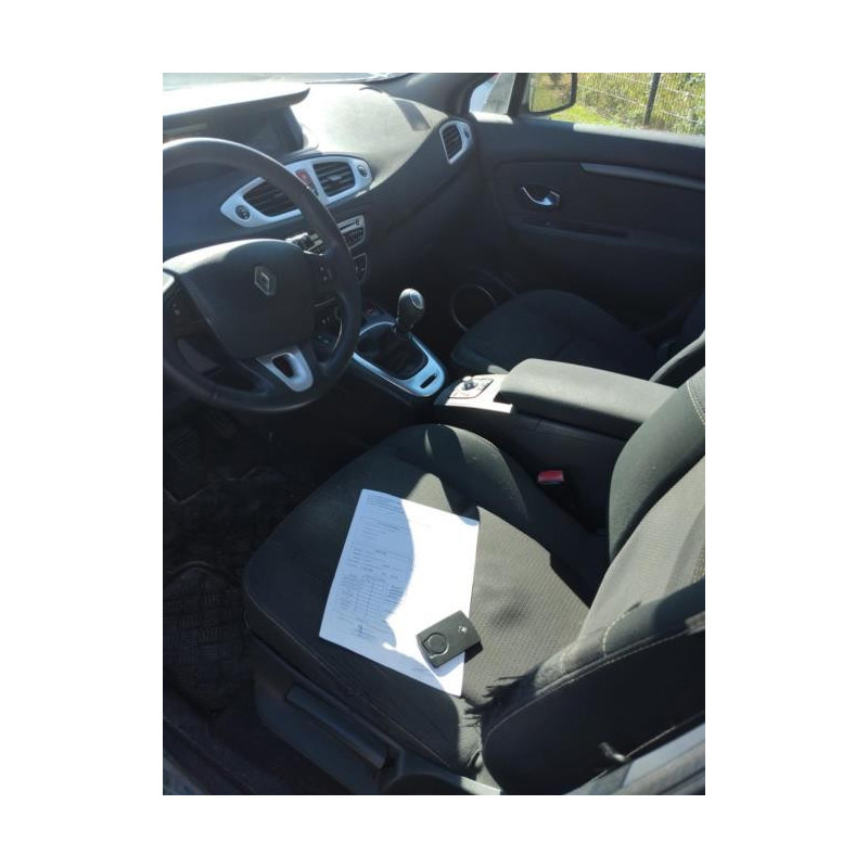 Capot RENAULT SCENIC 3 PHASE 1 d’occasion