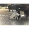 Porte avant gauche HONDA CIVIC 8 PHASE 2 d’occasion