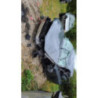 Pare choc arriere AUDI A3 2 PHASE 2 d’occasion