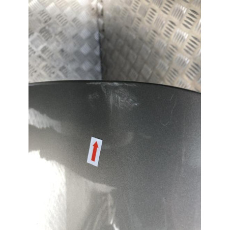 Porte avant gauche RENAULT KANGOO 1 PHASE 2 d’occasion