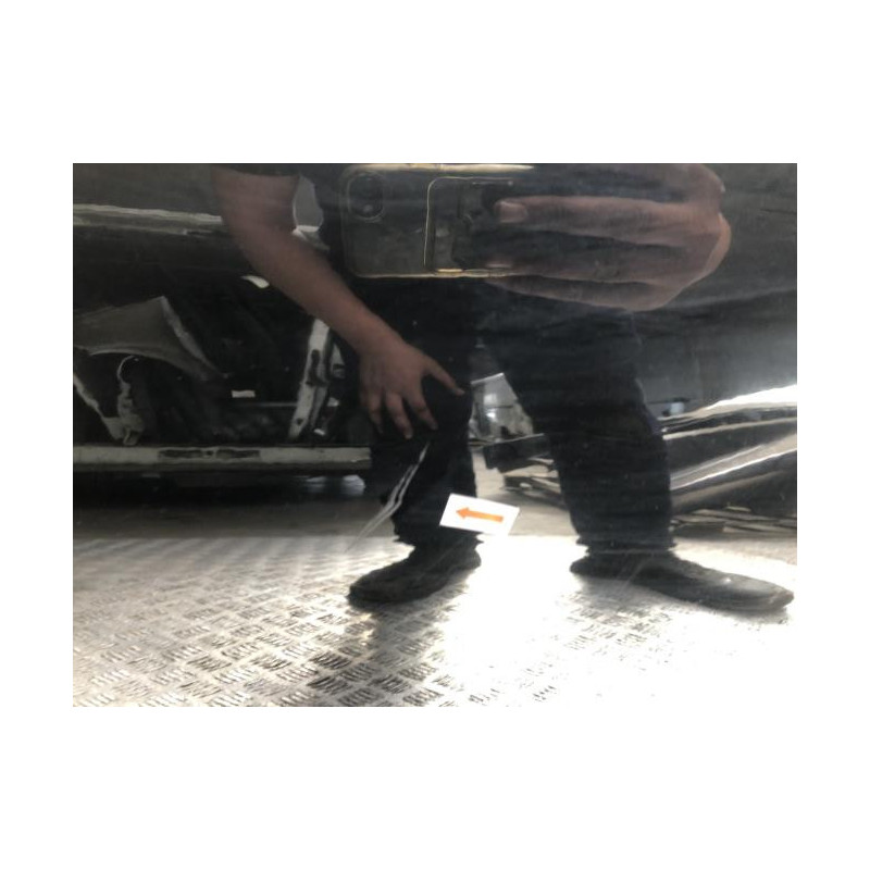 Porte arriere gauche PEUGEOT 206+ d’occasion