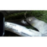 Moteur essuie glace avant gauche FORD GALAXY 2 PHASE 1 d’occasion