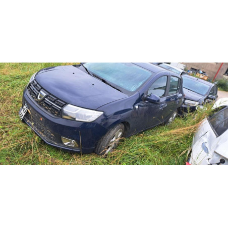 Porte arriere gauche DACIA SANDERO 2 PHASE 2 d’occasion