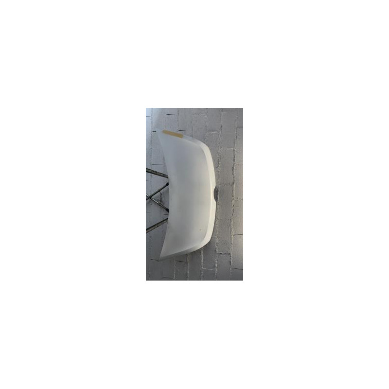 Capot RENAULT MASTER 3 PHASE 2 d’occasion