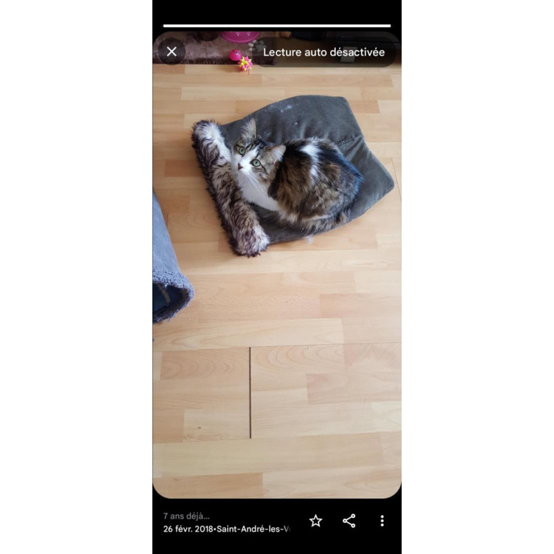 Maitre cylindre (freinage) AUDI A1 1 PHASE 1 d’occasion