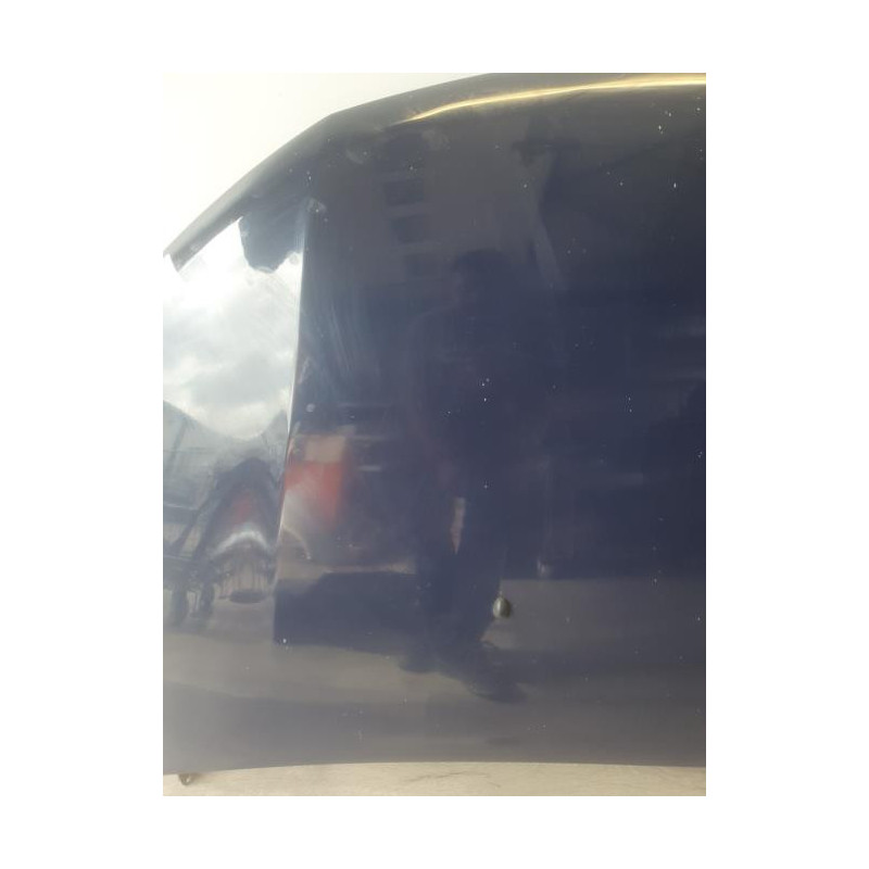 Capot DACIA SANDERO 2 PHASE 1 d’occasion